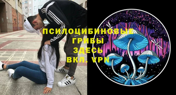 гашишное масло Богородицк