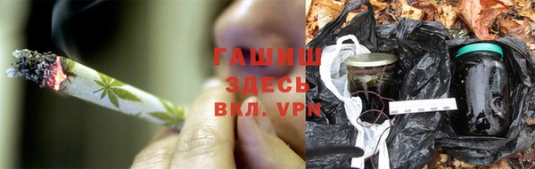 стаф Богданович