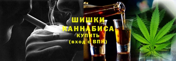 МДПВ Богородск