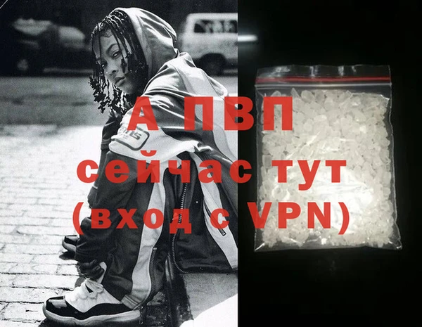 стаф Богданович