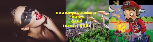 МДПВ Богородск