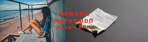 стаф Бородино