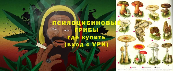 МДПВ Богородск