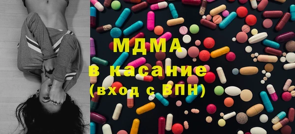стаф Богданович