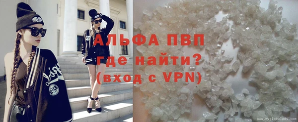 стаф Богданович