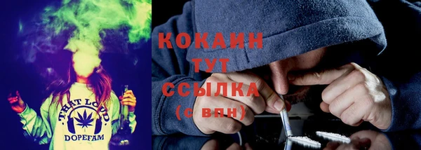 стаф Богданович