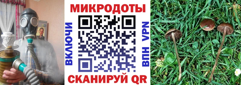 магазин продажи наркотиков Озёрск Псилоцибиновые грибы GOLDEN TEACHER